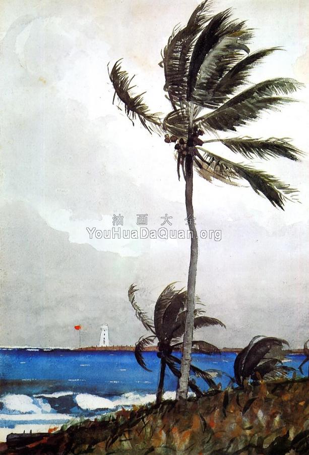 Palm Tree, Nassau - 温斯洛·荷默